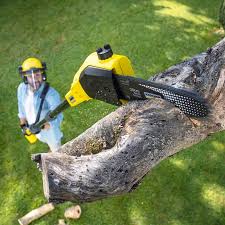 Best Organic Lawn Care Solutions  in Cannelton, IN